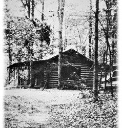 “The Thomas Wolfe Cabin” and The Log Cabin Revival