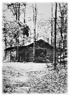“The Thomas Wolfe Cabin” and The Log Cabin Revival
