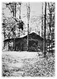 The Bark Hut Inn - Boys campin weekend, first job fire wood, then